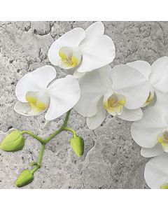 Салфетка (SN0199) - White Orchid on Concrete