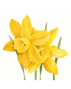 Салфетка (SN0995) 33x33, Daffodils