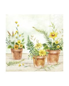 Салфетка (SN1178) 33x33,  PLANT IN POTS