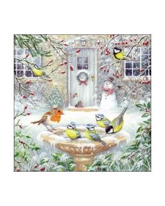 Салфетка (SN1197) 25x25 cm - Joy bath 