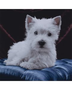 Салфетка (SN0580) 33х33, White Lady