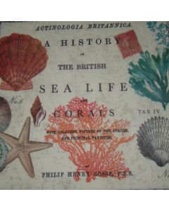 Салфетка (SN0061) 33х33, Sea Life