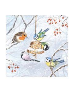 Салфетка (SN0899) 33x33,  Winterbirds